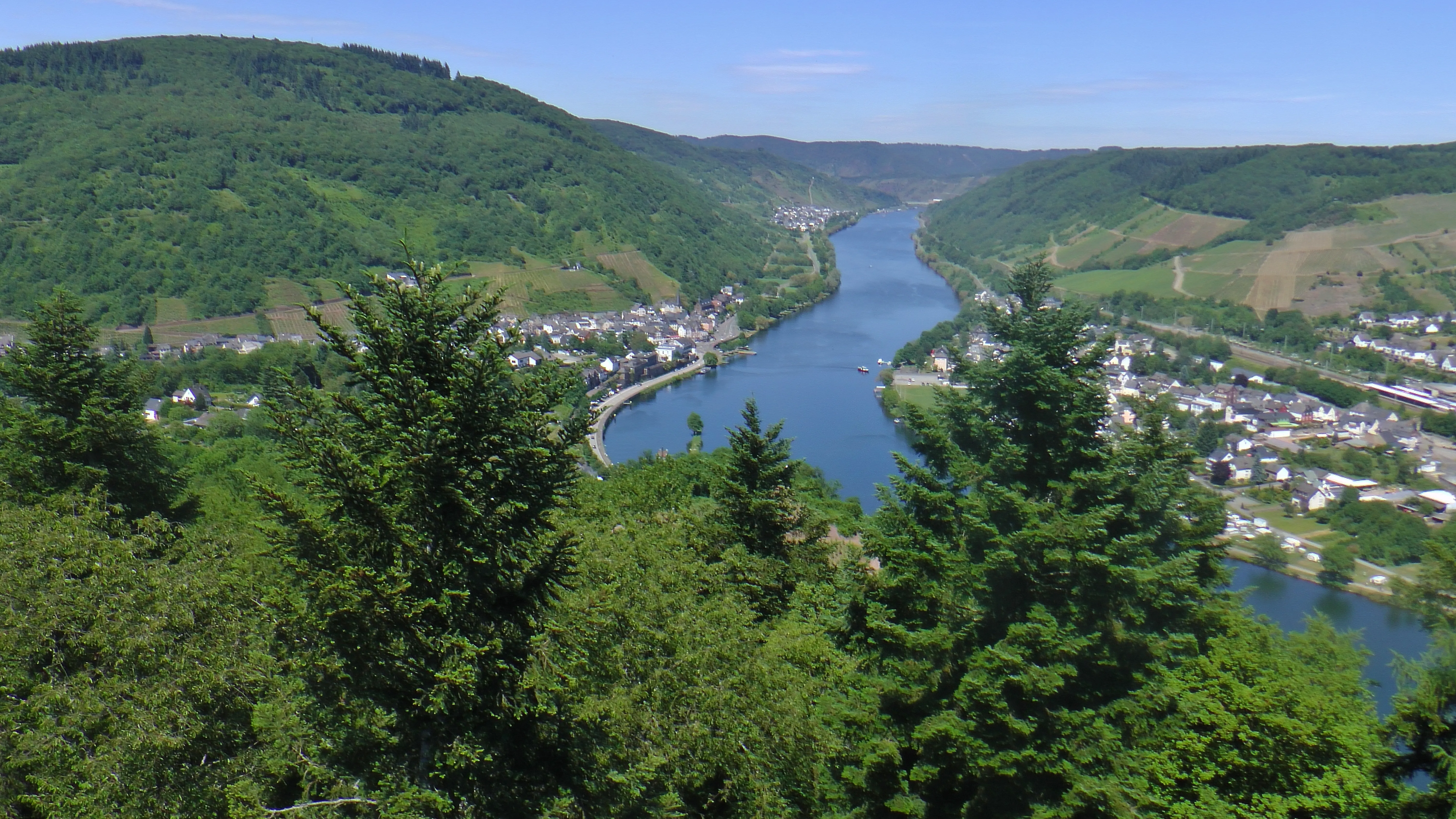 Blick vom Prinzenkopfturm nach Norden über die Mosel auf Alf und Bullay, dahinter bewaldete Hänge und Weinberge